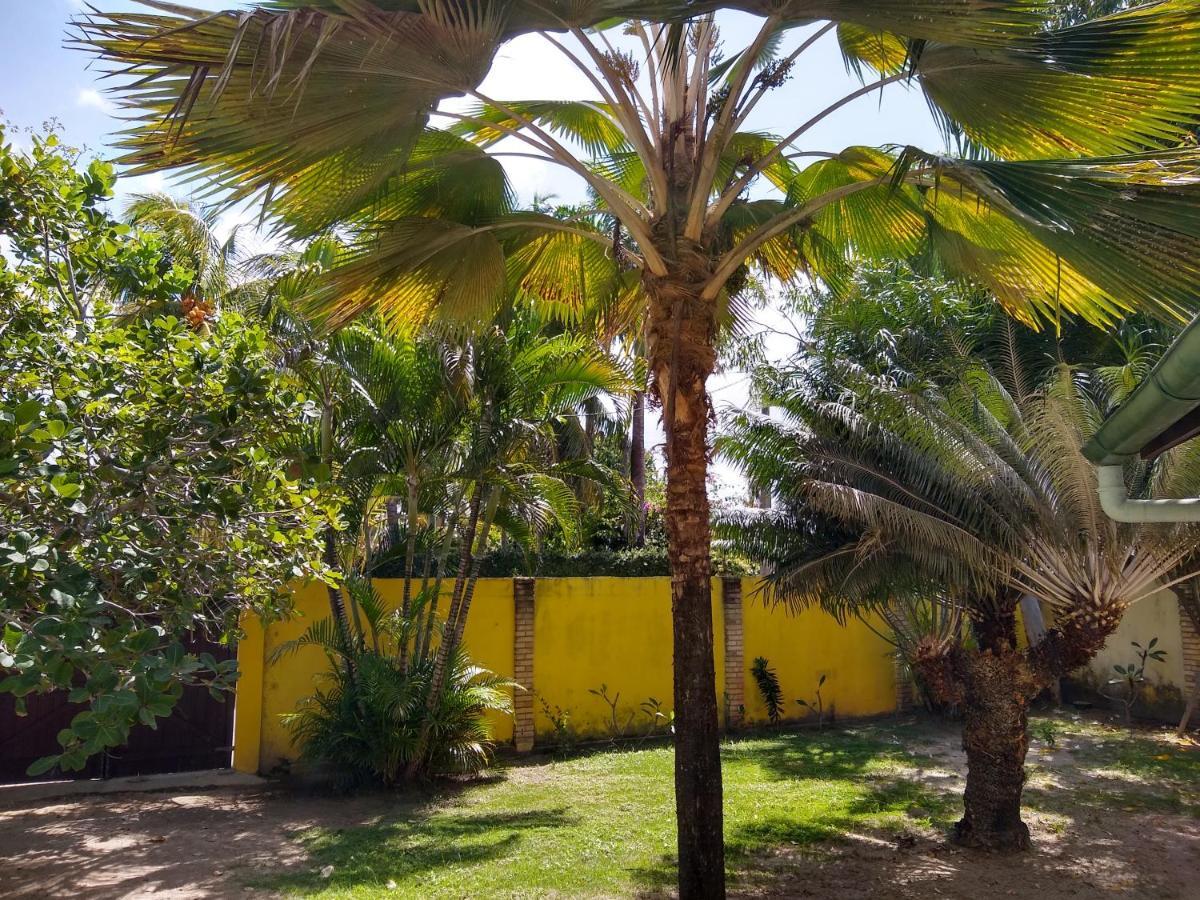 Hotel Pousada Porto Do Colibri Pôrto das Galinhas Buitenkant foto